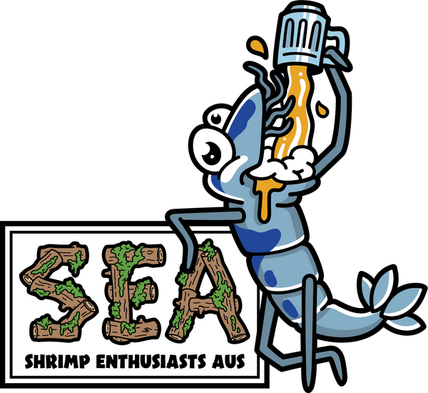 Shrimp Enthusiasts Australia